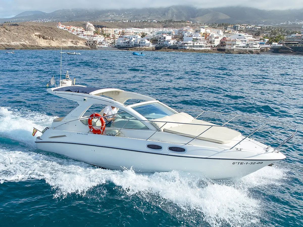 Sealine SC29